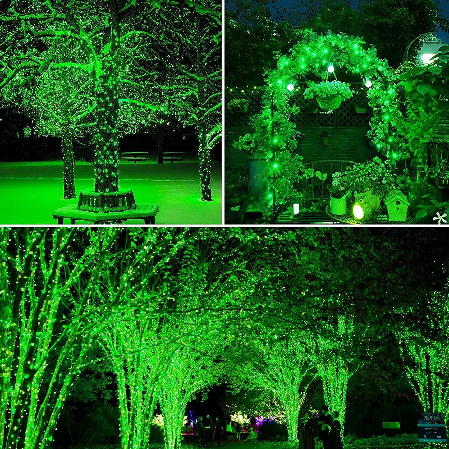8mm LED String Ladi Lights – Warm White & Color Variants