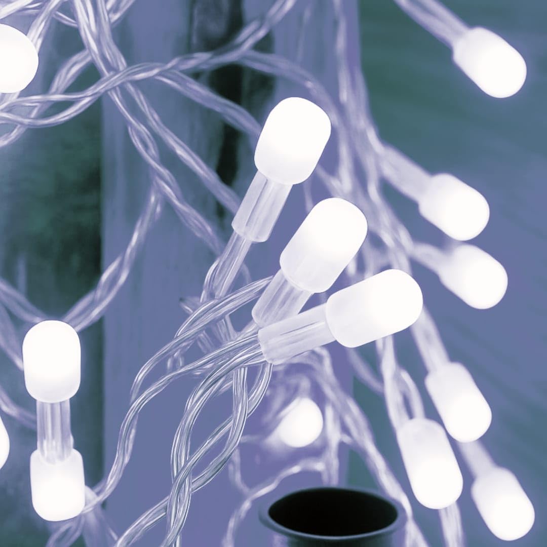 8mm LED String Ladi Lights – Warm White & Color Variants